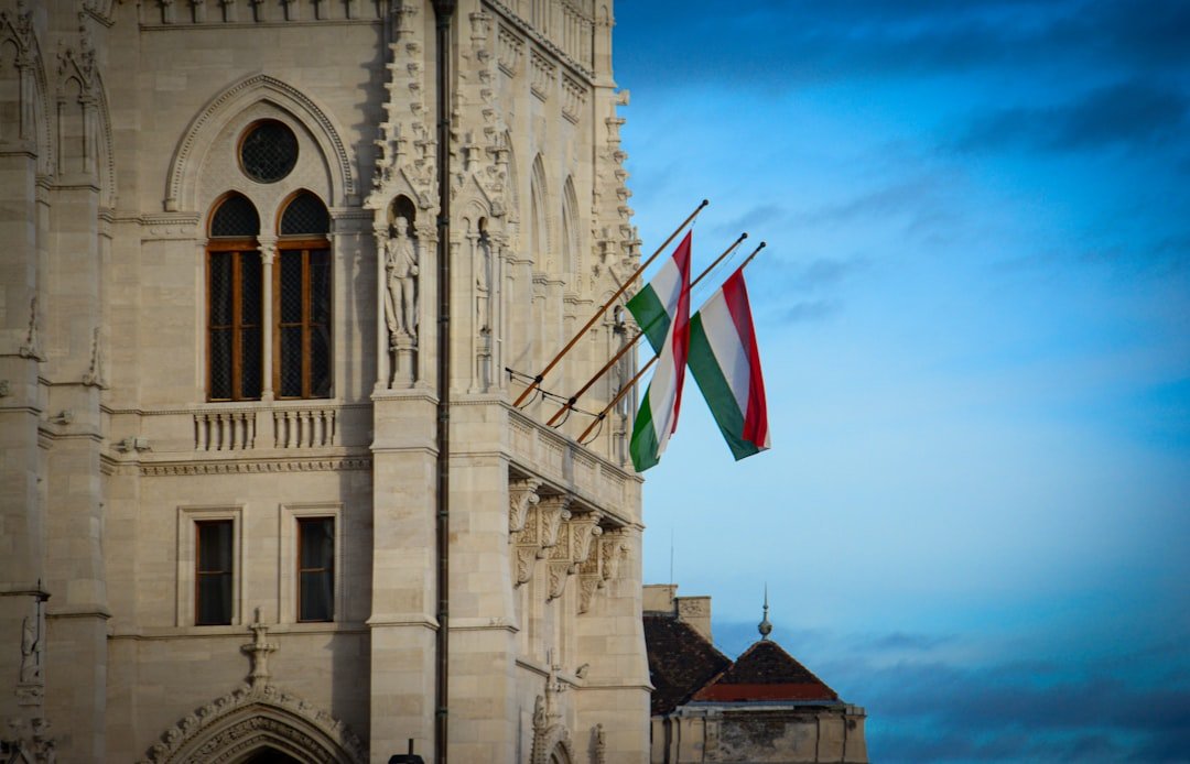 Hungarian Election: Fraud Claims & Macro Fallout